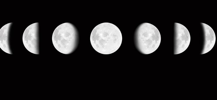 Учени от университета на Упсала Швеция са открили връзка между